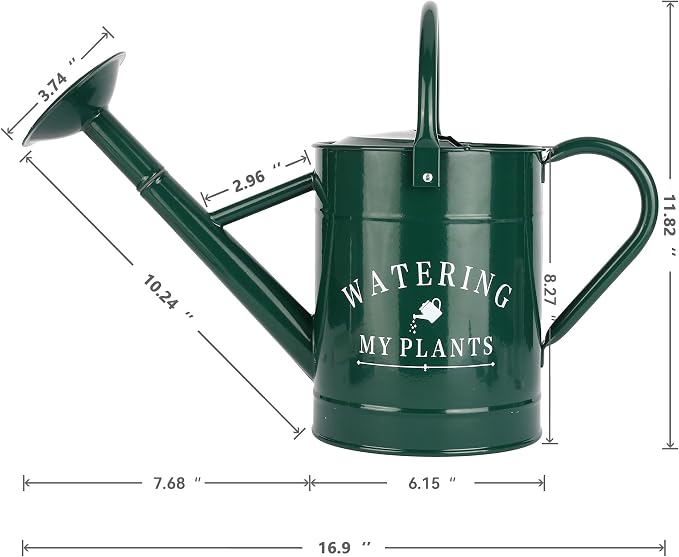 Garutom Galvanized Watering Can for Outdoor Indoor Plants, 1 Gallon Decorative Countryside Water Can with Removable Spout, Metal Watering Can for Indoor Plants and Garden Flower (Green)