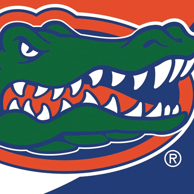 NCAA University of Florida House Flag, 28 x 44, Double Sided Garden Flags for Outside, Outdoor College Flags & Banners for Gardens Patio, Indoor Wall Decor Flag for Room