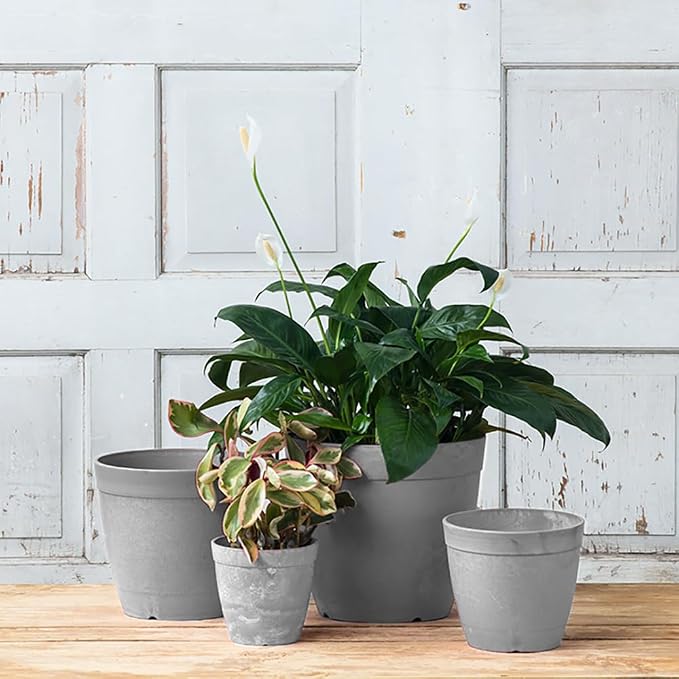 Root & Vessel Dolce Round Planter, Gray, 12"