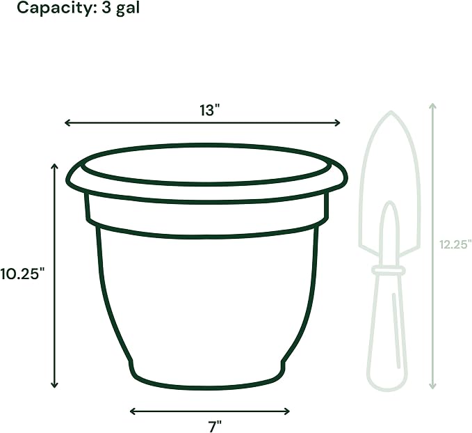 Bloem Ariana Pot Planter: 12" - Misty Blue - Durable Resin Pot, For Indoor and Outdoor Use, Gardening, Self Watering Disk Included, 3 Gallon Capacity