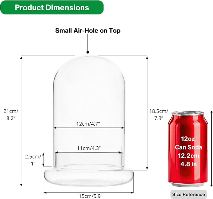 NCYP Glass Cloche Dome with Air Hole and Base, 5.9 x 5.9 x 8.2 Inches, Clear Terrarium Planter for Venus Flytrap, Small Plants, Home Indoor Tabletop Decoration (No Plants)