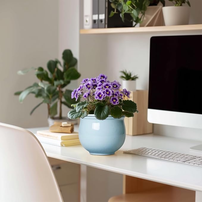 Ceramic African Violet Pots for Indoor Plants, 6 Inch Self Watering Planters with Absorbent Inner Pot, Self Watering Plant Pot, Ceramic Flower Pots, Desk Decor, Housewarming Gifts, Light Blue