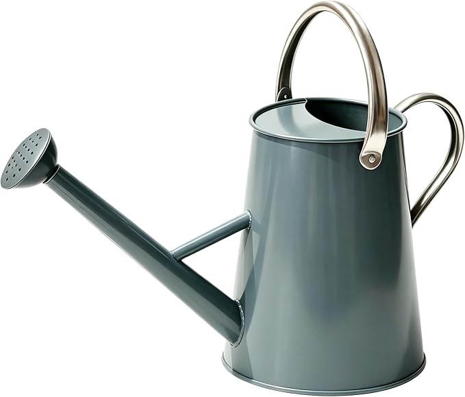 Metal Watering Can with Stainless Steel Handle for Outdoor and Indoor Plants, Watering Can Decor, 1.5 Gallon (Gray)