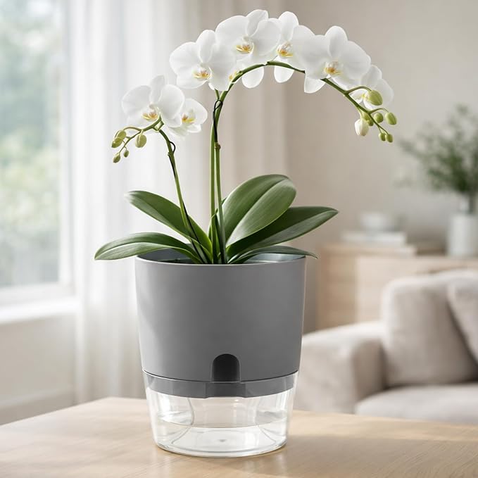 Planterhoma 5 Pack Self Watering Pots for Indoor Plants, 9 Inch Plant Pot Plastic Self Watering Planter for Orchid, Monstera, Lily, Large Clear Flower Pots with Drainage Holes and Wicking Rope, Gray
