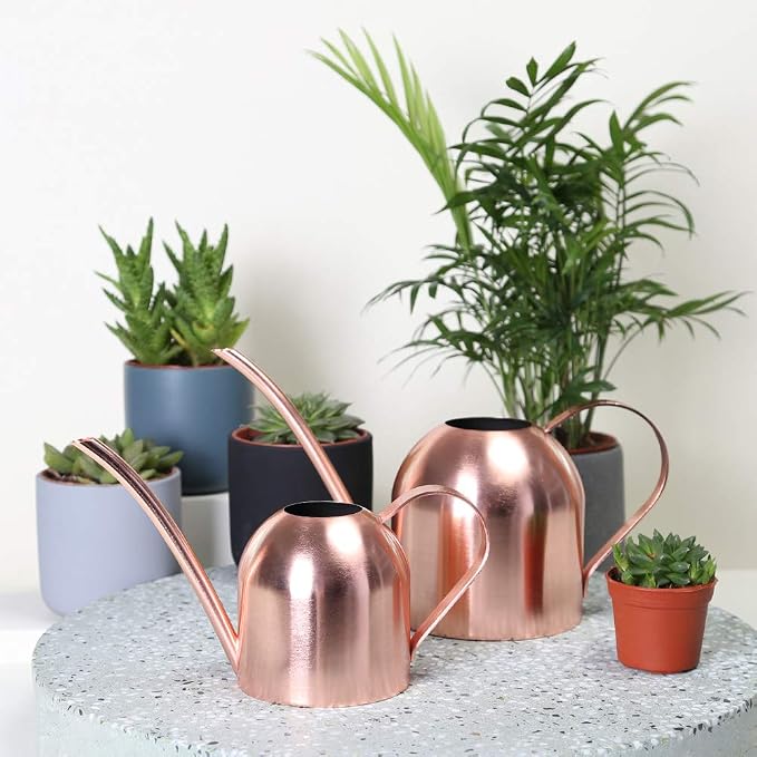 Watering Can for Indoor Plants, 30oz Long Spout Stainless Steel | Long Spout Design Delivers Precise Watering Directly To Plant Roots