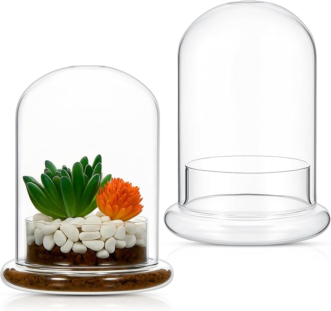 2 Pcs 4.7 x 6.3 Inch Glass Terrarium Dome Cloche with Air Hole & Glass Base, Clear Terrarium Containers Ventilated Plant Humidity Dome for Carnivorous Plants Orchids Tropical Cuttings, No Leakage