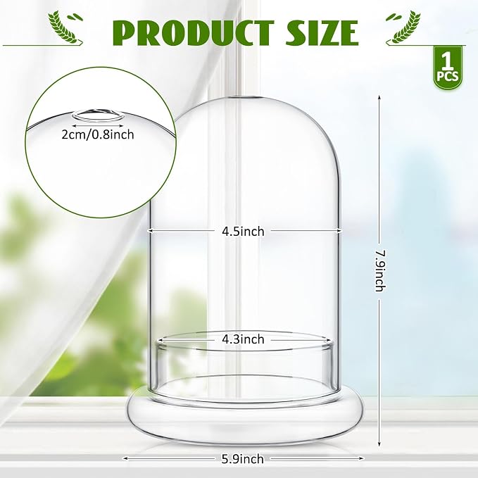 1 PC 5.9 x 7.9 Inch Glass Terrarium Dome Cloche with Air Hole & Glass Base, Clear Terrarium Containers Ventilated Plant Humidity Dome for Carnivorous Plants Orchids Tropical Cuttings, No Leakage