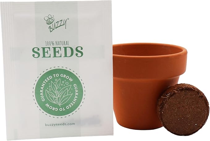 BUZZY Seeds Daydream Collection Mini Terracotta Grow Kit 12-Pack - Mini Terracotta Pot Grow Set - 100% Grow Guarantee