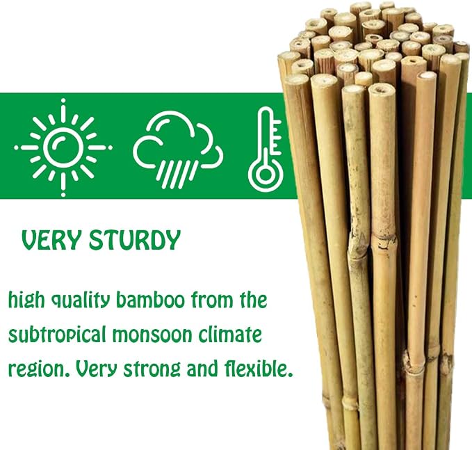 Mininfa Natural Bamboo Stakes 6 Feet, Eco-Friendly Garden Stakes, Plant Stakes Supports Climbing for Tomatoes, Trees, Beans, 20 Pack