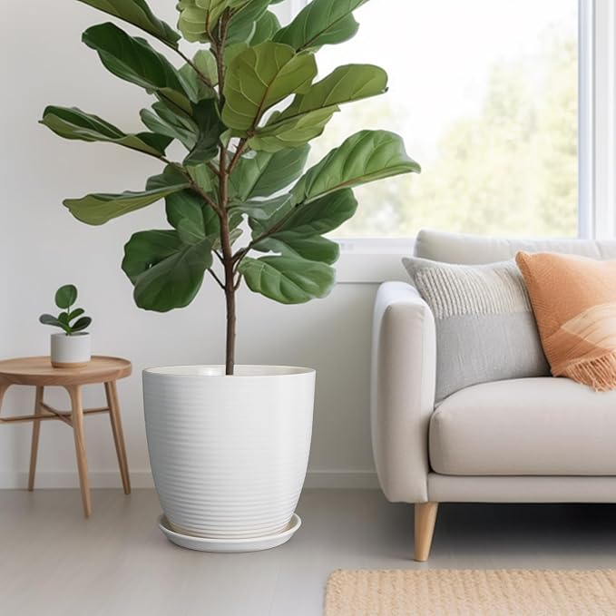 Ceramic Plant Saucer - 12 Inch Plant Tray for Pots Large Plant Plate to Catch Water Indoor Plants Large Plant Drip Tray for Drainage Round Flower Pot Saucer White
