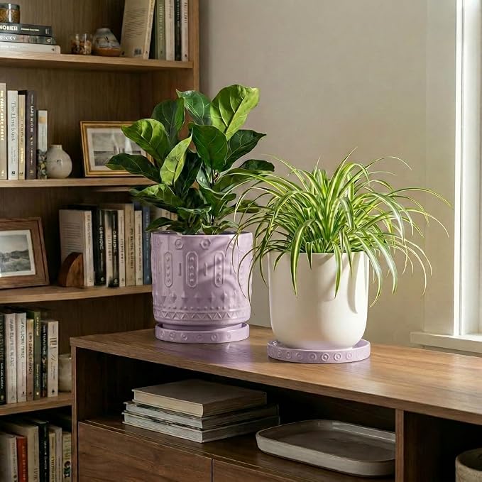 Eightpot Ceramic Plant Saucer 5.6 Inch, 2 Pack Plant Water Catcher Tray, Round Flower Pot Saucers for Indoor, Modern Plants Plates to Catch Water, Decorative Plants Dishes to Catch Water, Purple