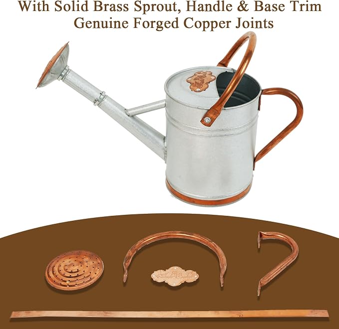 1 Gallon Metal Watering Can with Real Copper Details, Fine-Grid Galvalume Body, Removable Watering Rose for Indoor Plants, Patio and Greenhouse