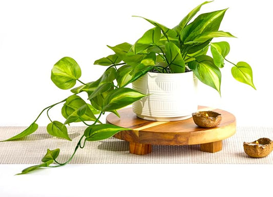 Kurrajong Farmhouse Dark Green Fake pothos | Fake Plant for Shelf Decor | Artificial Trailing Ivy Plant with 5" Wide Ceramic Pot | Faux pothos | Feaux Pothos | Bathroom and Kitchen Decor