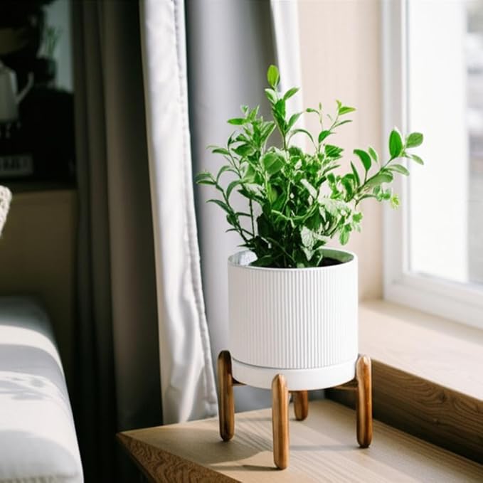 HERDUK 8 Inch Ceramic Planter with Natural Wood Stand w/Drainage & Saucer - Modern Indoor Planter for Cacti, Snake Plants & Aloe Vera
