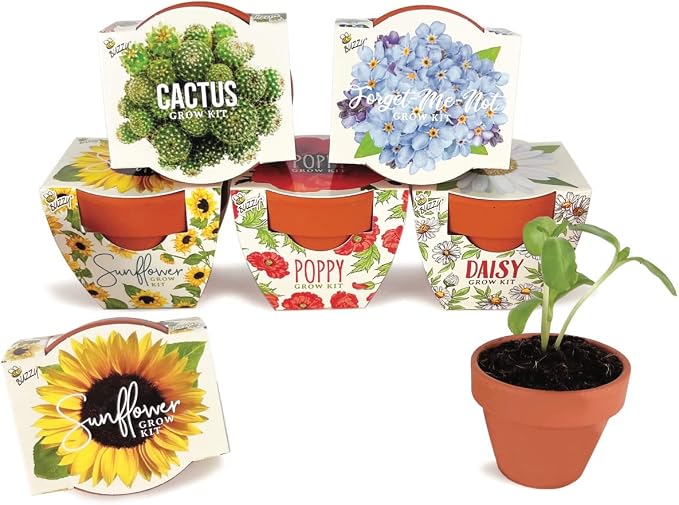 BUZZY Seeds Daydream Collection Mini Terracotta Grow Kit 6-Pack - Mini Terracotta Pot Grow Set - 100% Grow Guarantee