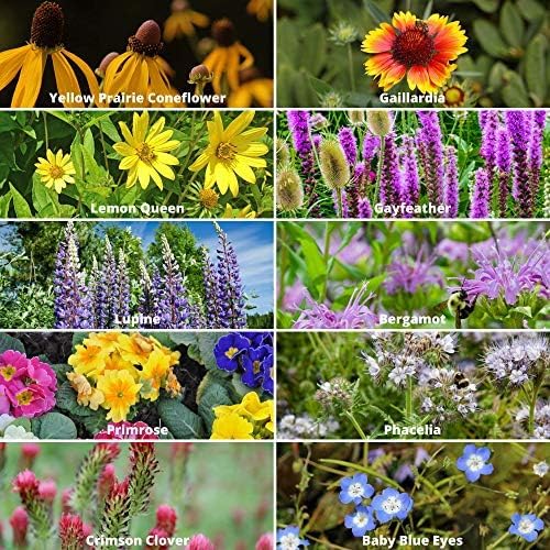 Mountain Valley Seed Co Save the Bees Wildflower Seed Shaker - ~100,000+ | Wildflower Seeds for Planting with 19 Varieties, Easy Seed Shaker, Attracts Bees and Pollinators, Covers up to 370 Sq Ft