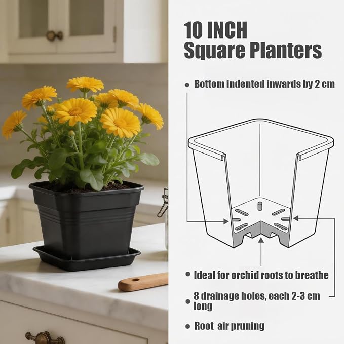 BTPLASTIK 10 Inch Square Planters with Saucers 5 Pack, Heavy Duty Black Plant Pots, Air Pruning & Super Ventilation, Anti-Crack Garden Pots for Indoor Outdoor Orchids Vegetables Trees