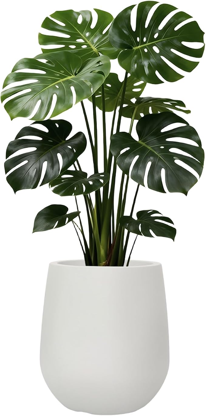 11.8 Inch Plastic Tall Planters for Outdoor Plants, Modern Round Tapered Flower Pot for Outdoor and Indoor Plants, Large Plant Pot with Drainage Holes and Plug for Home Garden Patio, Chalk Beige