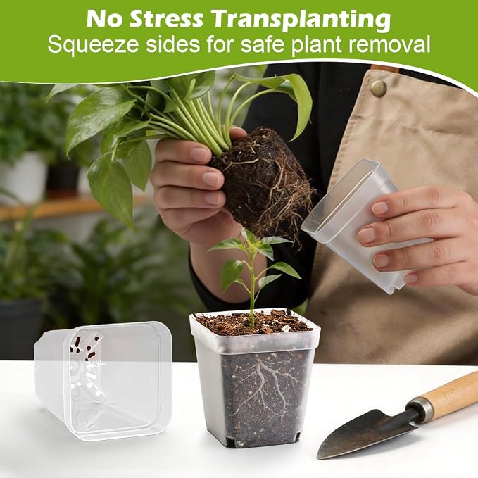RooTrimmer 2.7 Inch Square Nursery Pots, 60 Packs Clear Seedling Pots with Drainage Holes, Reusable Propagation Pots Small Plant Container for Indoor Outdoor Gardening