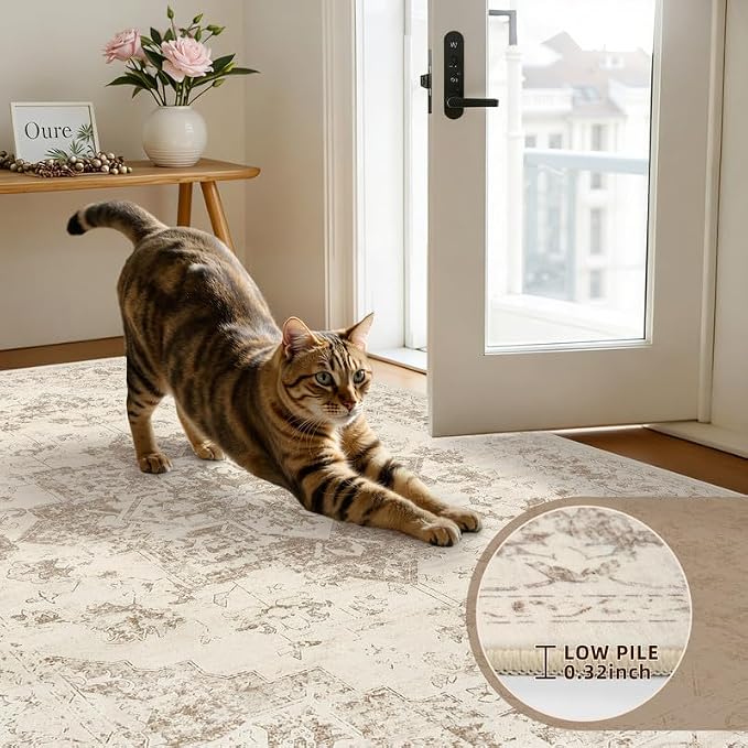 Washable Area Rugs 2x3: Living Room Bedroom Carpet Beige/Ivory | Vintage Boho Indoor Decor Soft Small Entryway Throw Neutral Kitchen Bathroom Laundry Floor Non-Slip Low Pile Entrance Rug
