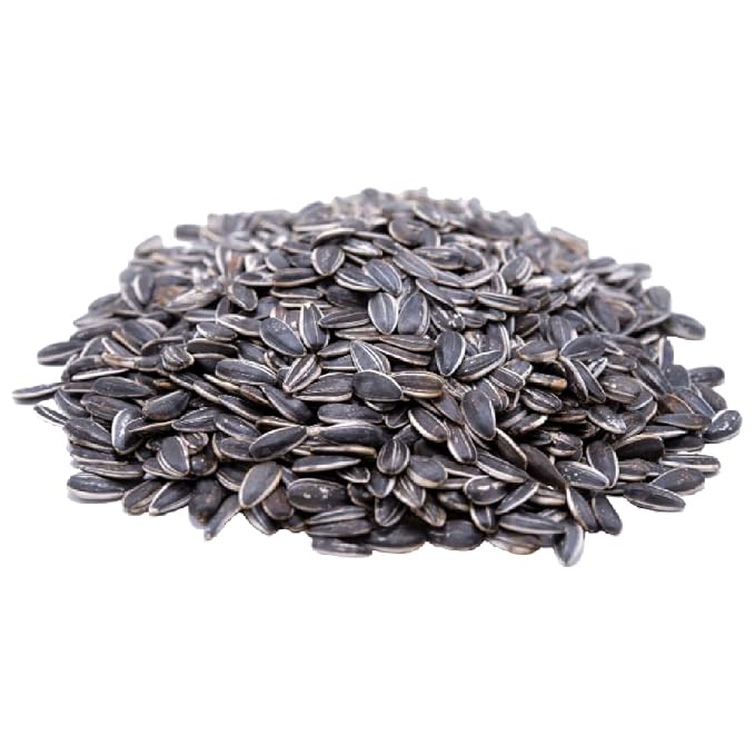 Gerbs Raw Whole Sunflower Seeds 1 lb. | In-Shell, No Artificial Additives, Resealable Bag | Crack-and-Eat Crunchy Snack | Top 14 Allergen-Free