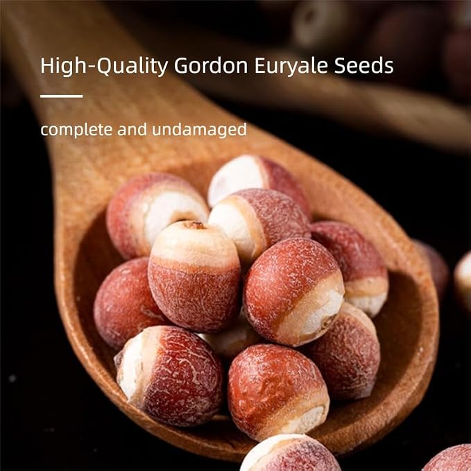 Euryale Seed（Qianshi）- Pure Natural Chinese Herbal Medicine-Dried Fox Nut-Gorgon Fruit-1lb/454g Used for making soup-芡实 (Euryale Seed)