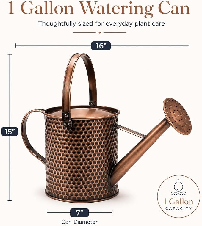 Gardenised 1 Gallon Galvanized Metal Watering Can with Removable Long Spout & Sprinkler Head for Indoor & Outdoor Use Ideal for Garden Flowers Potted Plants Houseplants Modern Home Accessories, Brown