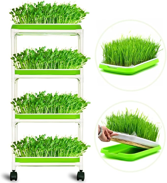 4 Layers Sprout Trays with Extra Strength Plastic Shelf Soil-Free Healthy Wheatgrass Seeds Grower & Storage Trays for Garden Home Office | BPA Free PP Soil-Free Hydroponic Growing & Storage Trays for Mung Beans, Microgreens, Wheatgrass for Home, Indoor...