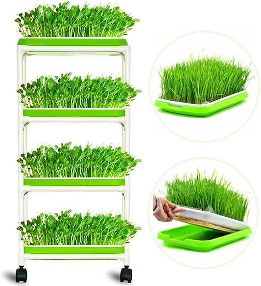 4 Layers Sprout Trays with Extra Strength Plastic Shelf Soil-Free Healthy Wheatgrass Seeds Grower & Storage Trays for Garden Home Office | BPA Free PP Soil-Free Hydroponic Growing & Storage Trays for Mung Beans, Microgreens, Wheatgrass for Home, Indoor...