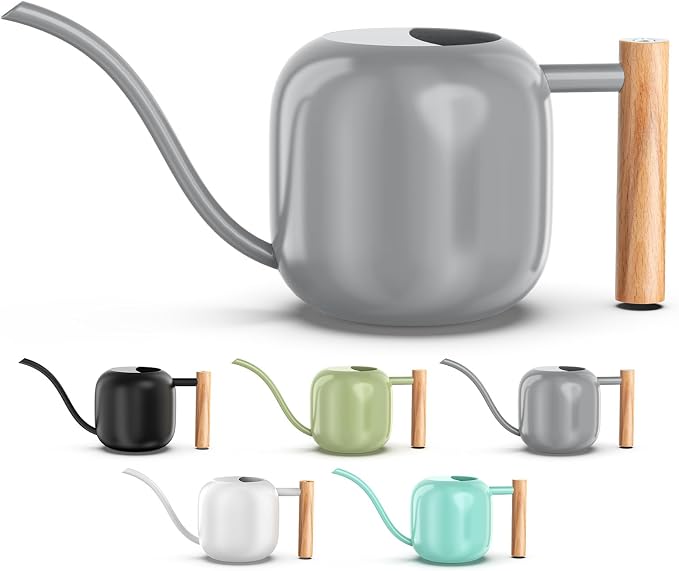 Green Moon 1.2L/41oz Metal Metal Watering Can with Long Spout, Gray | Metal Stainless Steel Watering Can for Indoor Plants, House Bonsai, Succulents, and Garden Flowers, Decorative Watering Cans