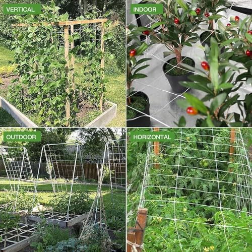Trellis Netting, CANAGROW Heavy-Duty Garden Plant Trellis Netting for Climbing Plants, Outdoor Indoor Grow Net for Beans Tomatoes Peas Pumpkin Flowers,   , Pack of 4 - Image 6