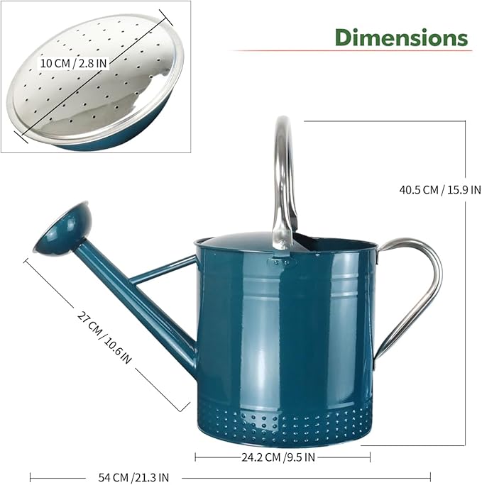 2 Gallon Meltal Garden Watering Can Removable Spout, Galvanized Steel Large Water Can with Embossed Design for Outdoor Indoor Plants (Ocean Blue, 2 Gallon)