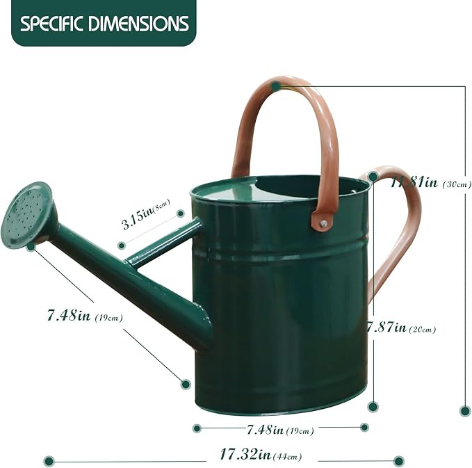 Metal Watering Can with Removable Spout, 1 Gallon Watering Cans Stainless Steel Handhold for Outdoor Indoor Garden Plants Watering (Green)