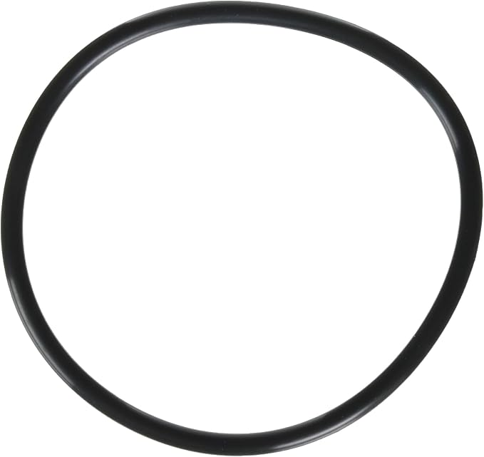 Zodiac R0480200 Lid O-Ring Replacement for Zodiac Jandy FloPro FHPM Series Pump