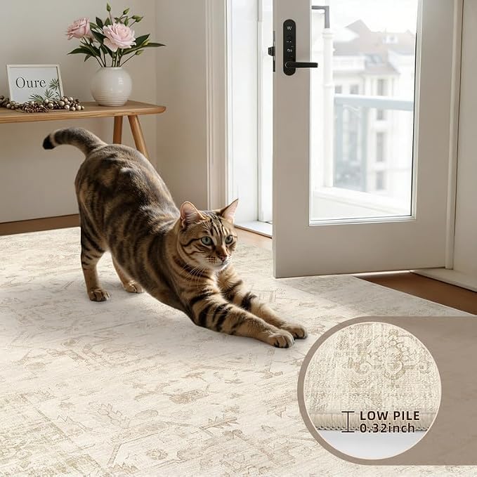 Round Area Rug Living Room: 8ft Washable Carpet Beige/Brown | Vintage Boho Circle Soft Large Circular Carpet Bedroom Nursery Neutral Dining Room Indoor Decor Floor Non-Slip Under Table
