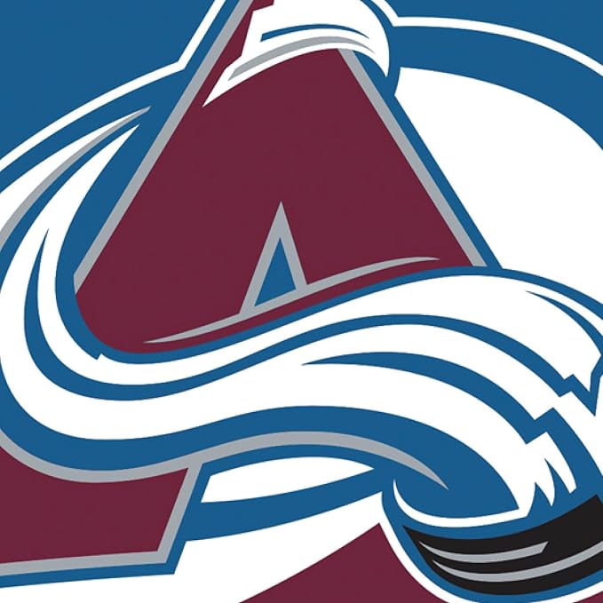 Team Sports America NHL Colorado Avalanche House Flag, 28 x 44, Double Sided Garden Flags for Outside, Outdoor Flags & Banners for Gardens Patio, Indoor Wall Decor Flag for Room
