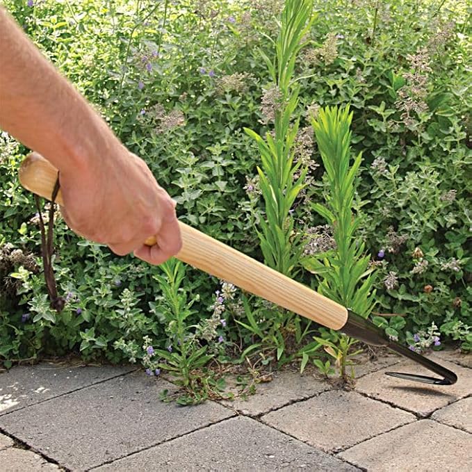 A.M. Leonard Cape Cod Weeders (18-1/2-Inch Hardwood Handle)