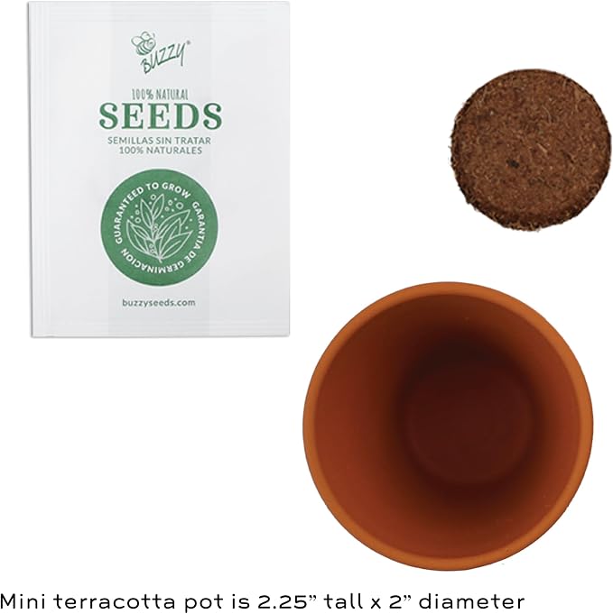 BUZZY Seeds Mini Terracotta Grow Kit, Assorted 12-Pack - Mini Terracotta Pot Grow Set - 100% Grow Guarantee