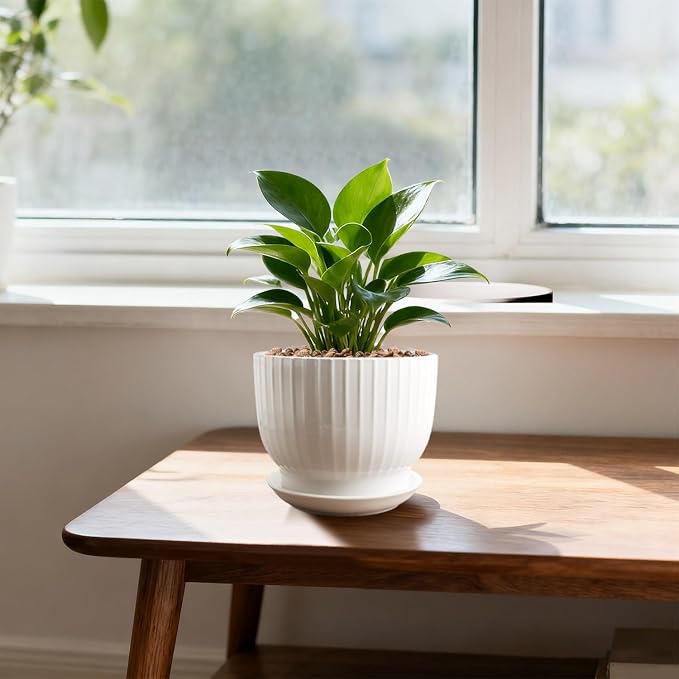 Ceramic Plant Pots,6.7 Inch,Set of 2,Planters with Drainage Hole and Saucer,Flower pots for Indoor Plants,Modern Design(Pure White,2 Pack)