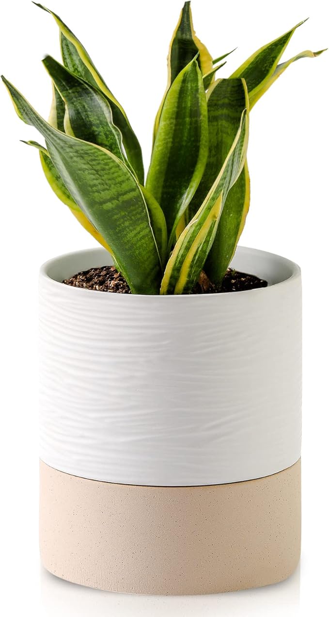 Nihow Ceramic Self Watering Plant Pot for Indoor Plants,6 Inch,White | Planter with Cotton Wick, Drainage Hole & Water Storage Plus, Cylinder Round Flower Pot, For Succulent/Herbs/Violets