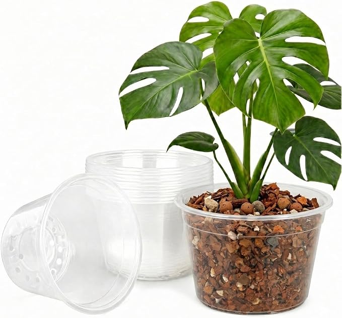 3 Gallon Clear Nursery Pots 10 Pack, 10 Inch Large Plastic Plant Pots with Drainage Holes, Transparent Planters for Root Monitoring, Seedlings, Succulents, Flower, Indoor Outdoor