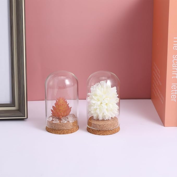 IMIKEYA 5Pcs The Bell Jar Glass Cloche with Rustic Wood Base, Tall Clear Decorative Cloche Glass Dome Display Case for Plants, Curios, Keepsakes, Heirlooms
