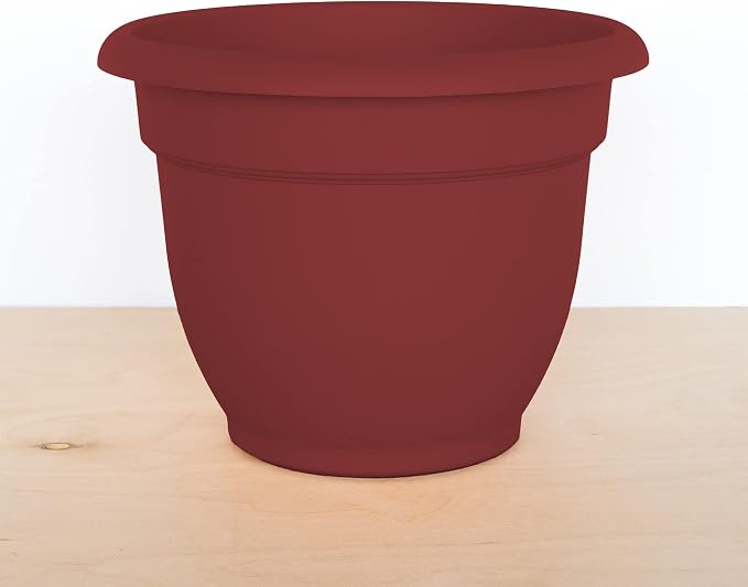 Bloem Ariana Self Watering Planter: 12" - Burnt Red - Durable Resin Pot, for Indoor and Outdoor Use, Self Watering Disk Included, Gardening, 3 Gallon Capacity