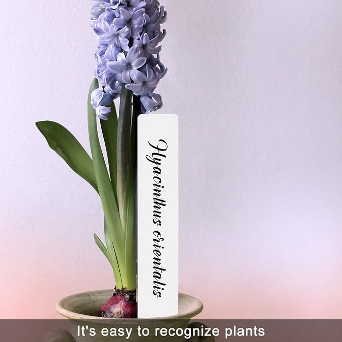 SumDirect Plastic Plant Labels, 100pcs 6 Inch White Waterproof Plant Name Tags for Nursery Garden Labels Markers Seedlings Plant Tags Tree Stake Tags