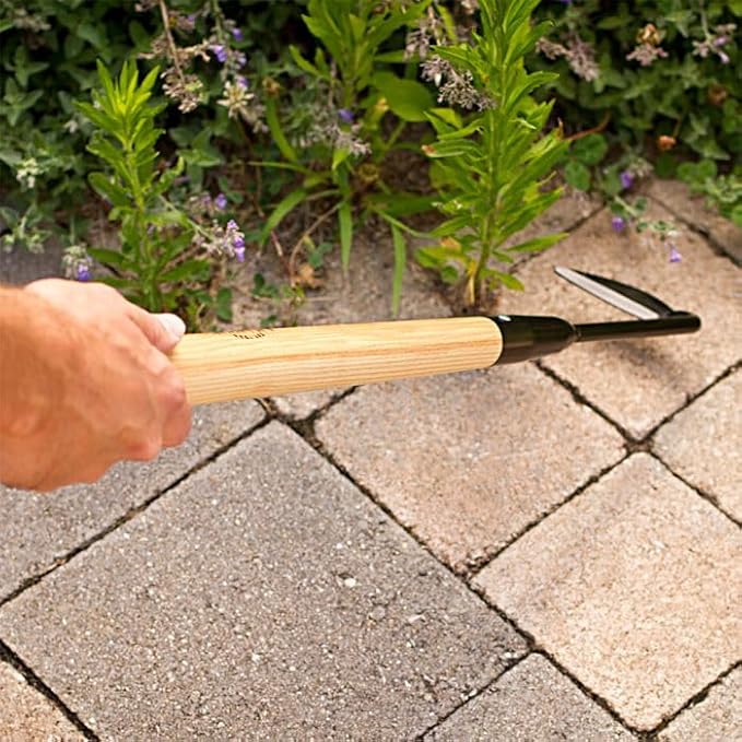 A.M. Leonard Cape Cod Weeders (18-1/2-Inch Hardwood Handle)