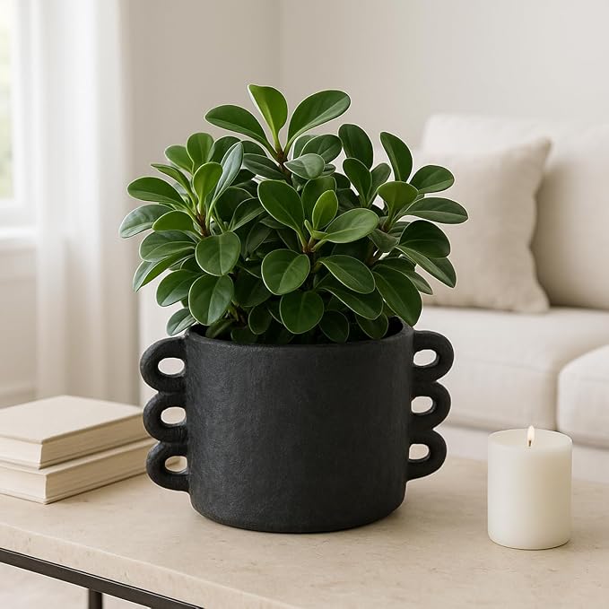 Pottery Arch Handle Planter for Home Decor - Decorative Flower Pot for Living Room Decor, Shelf Accent, and Patio Areas - Indoor and Outdoor Pot for Plants or Plant Stand Indoor - 8", Black