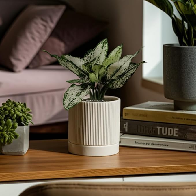HERDUK 6 Inch Ceramic Plant Pot with Drainage & Saucer - Indoor Planter for Succulents, Cacti & Aloe Vera - Striped Design, High-Temp Fired Clay, Lightweight Modern Decor White