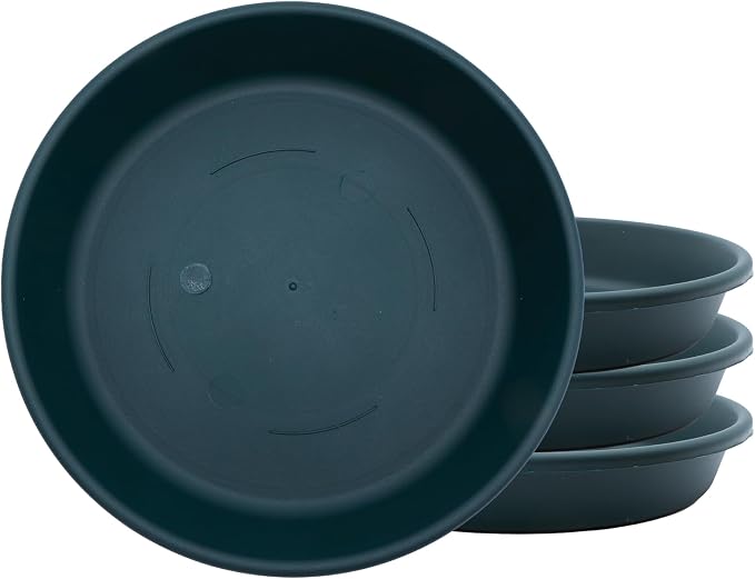 The HC Companies 8 Inch Classic Round Plant Saucer, Lightweight UV-Resistant Plastic Outdoor & Indoor Flower Pot Tray, 4-Pack Plant Pot Trays for Garden & Home Decor, Evergreen