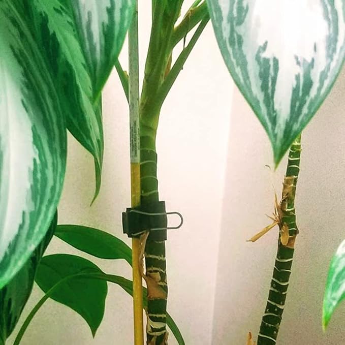 Reusable Garden & Cable Clips – Indoor/Outdoor Clamp Holders for Plants, Cords, Wires, String Lights, Trellis & Décor, Multi-Size 12 Green Pack (4 Small, 4 Medium, 4 Large)