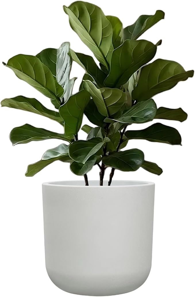 11 Inch White Planter, Large Plastic Plant Pots with Drainage Holes and Rubber Plug, UV Resistant Indoor Outdoor Flower Pot, Modern Decorative Cylinder for Home & Office, Chalk White